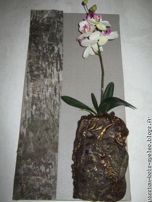 Orchidé dans son pot